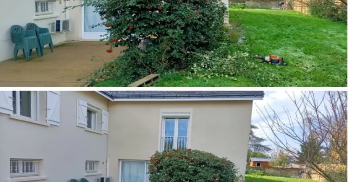 nettoyage d'une haie