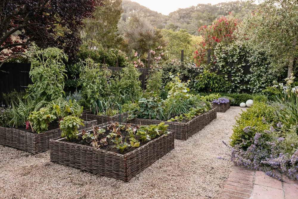 jardinerie