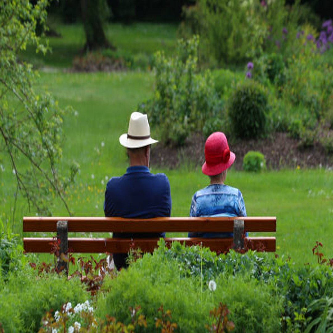 Explorez notre blog pour des conseils pratiques, guides et astuces sur le paysagisme, le jardinage et l’élagage. 