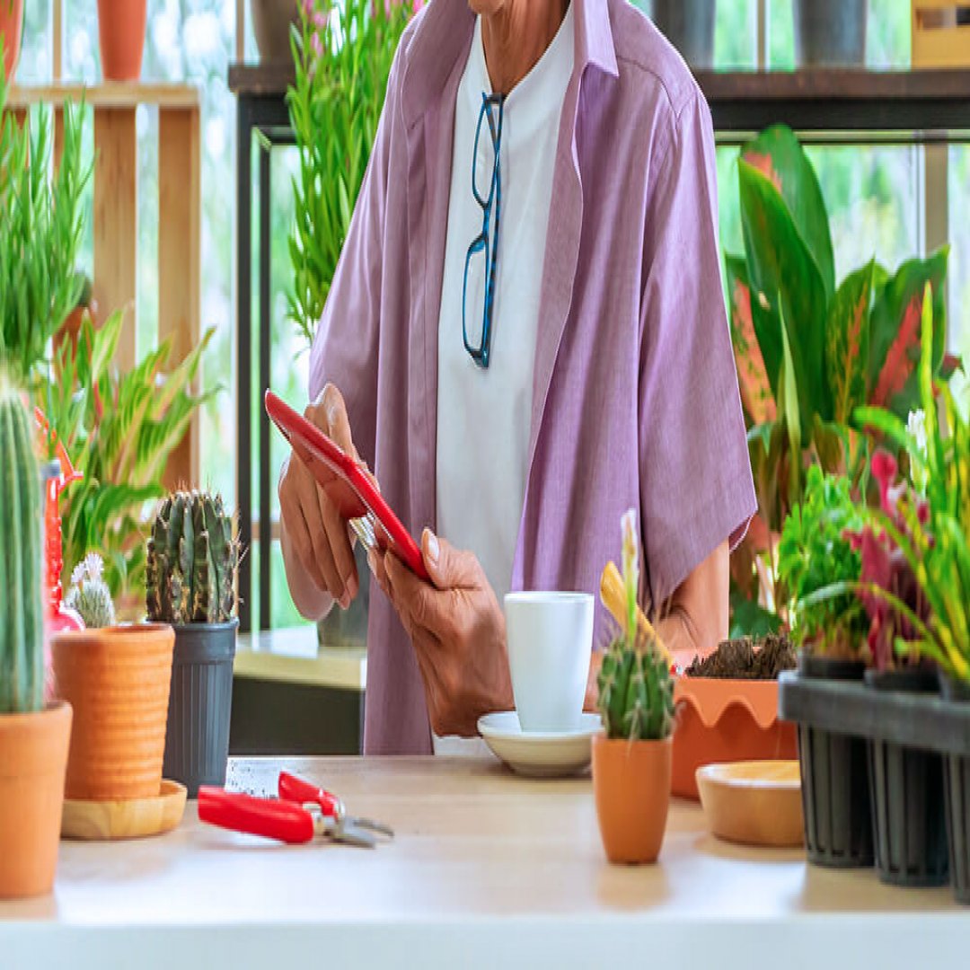 devis paysagisme exemple de devis 