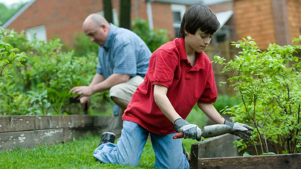 services de jardinier