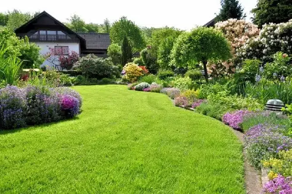 Découvrez nos services de paysagisme et jardinage pour la création et l'entretien de jardins. Expertise et passion au se
