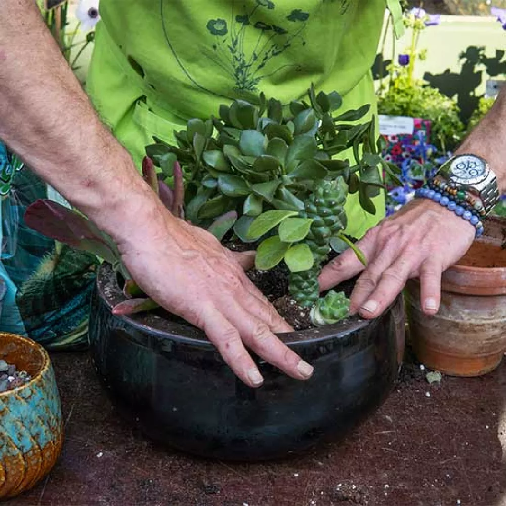 services de jardinier